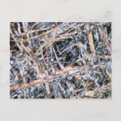 顕微鏡下紙 ポストカード (正面)