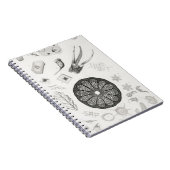 顕微鏡的物体 ノートブック (右側)