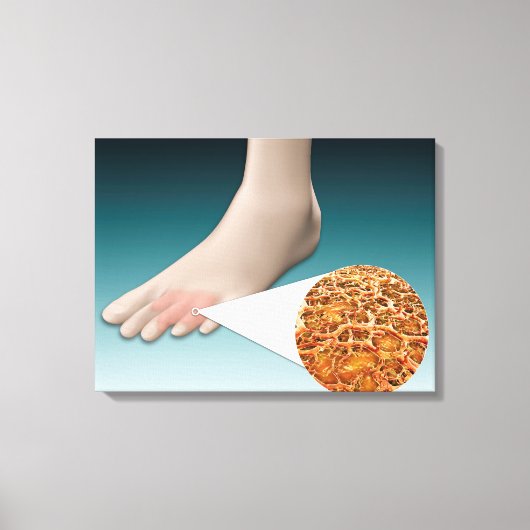 顕微鏡的近接足菌の解剖学 キャンバスプリント (正面)