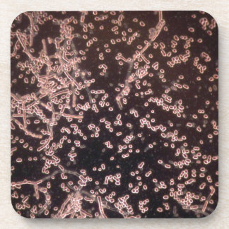 顕微鏡3Dイーストは山をぬらしました コースター