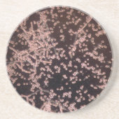 顕微鏡3Dイーストは山をぬらしました コースター (正面)