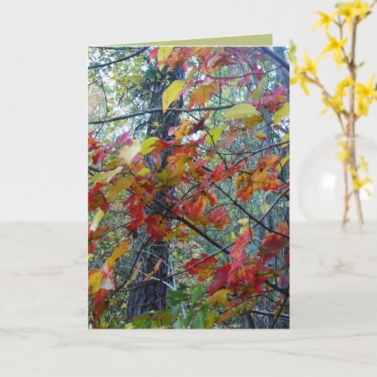 顕現した秋 カード (黄色い花)