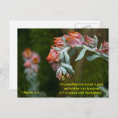 顕花多肉質 シーズンポストカード (正面/裏面)