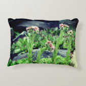 顕花多肉類 アクセントクッション (裏面)