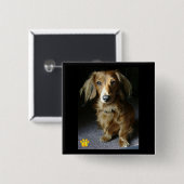 顕著なダックスフントボタン 缶バッジ (正面&裏面)