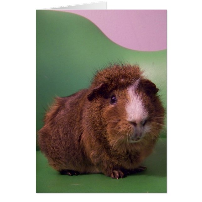 顕著な紳士に (正面)