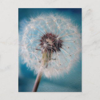 願いのはがきを作る ポストカード