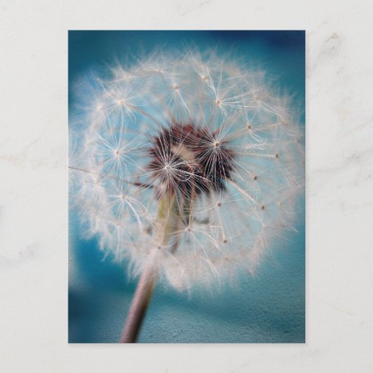 願いのはがきを作る ポストカード (正面)