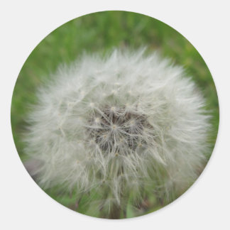 願いのステッカー ラウンドシール