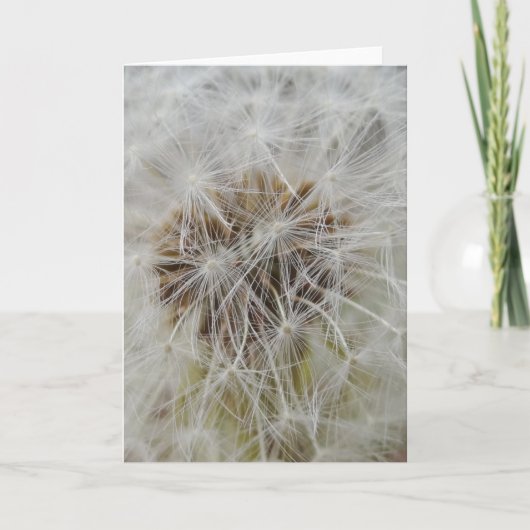 願いの大きいメッセージカード カード (正面)