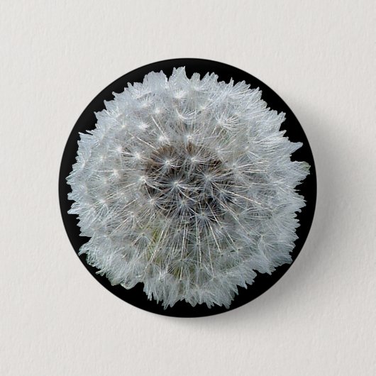 願いはダンディです 缶バッジ (正面)