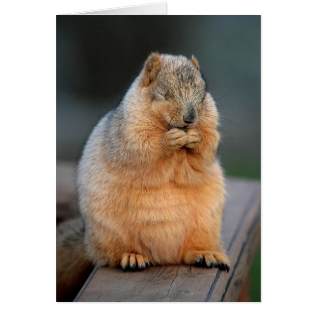 願いを作って下さい (正面)