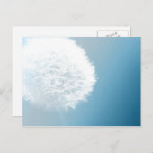 願いを叶える蒲公英のポストカード ポストカード (正面/裏面)