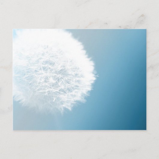 願いを叶える蒲公英のポストカード ポストカード (正面)