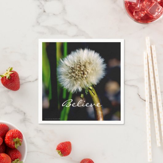 願いを叶える，ダネ信じデロン紙 スタンダードカクテルナプキン (インサイチュ)