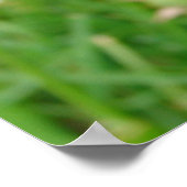 願いを叶える ポスター (角)