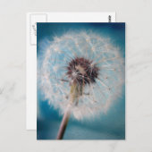 願いを叶える ポストカード (正面/裏面)