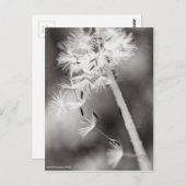 願いを送り出す ポストカード (正面/裏面)