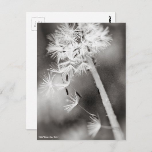 願いを送り出す ポストカード (正面/裏面)