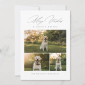 願いメリーと犬のキスペット写真クリスマス シーズンカード (正面)