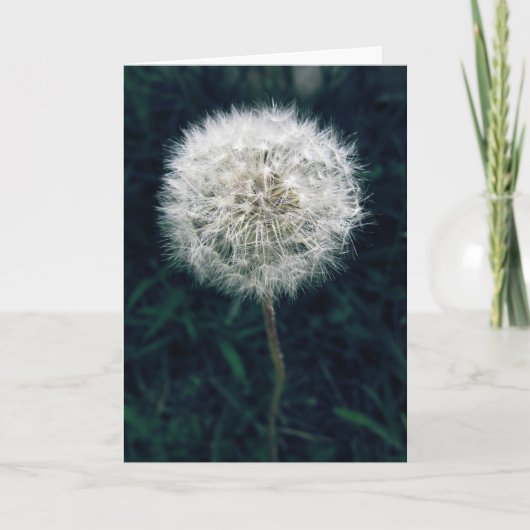 願い事をしよう カード (正面)