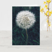 願い事をしよう カード (黄色い花)