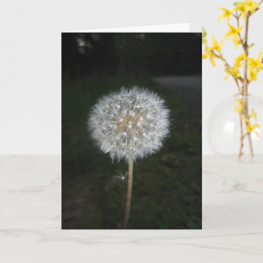願い事をする カード (黄色い花)