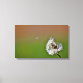 願い事をする キャンバスプリント