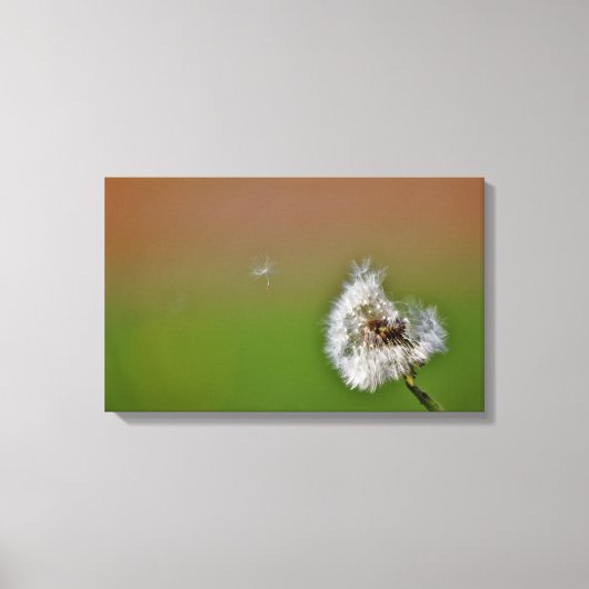 願い事をする キャンバスプリント (正面)