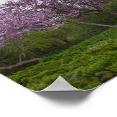 願い井戸と赤い芽の木 ポスター (角)