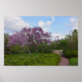 願い井戸と赤い芽の木 ポスター