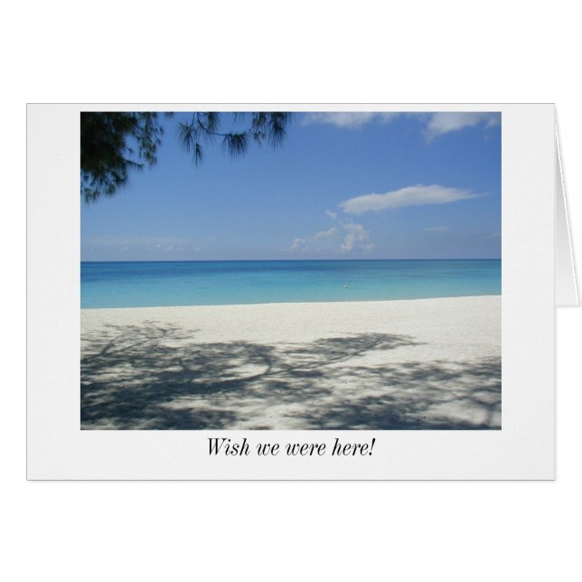 願い私達はここにいました! (正面横)