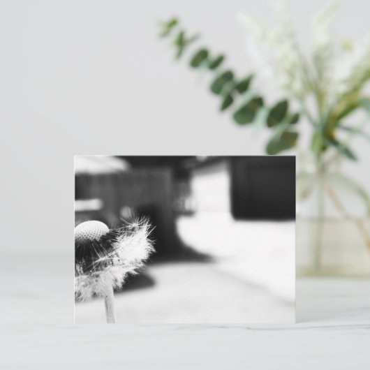 願い2 ポストカード (スタンド正面)