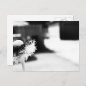 願い2 ポストカード (正面/裏面)