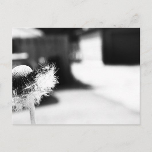 願い2 ポストカード (正面)