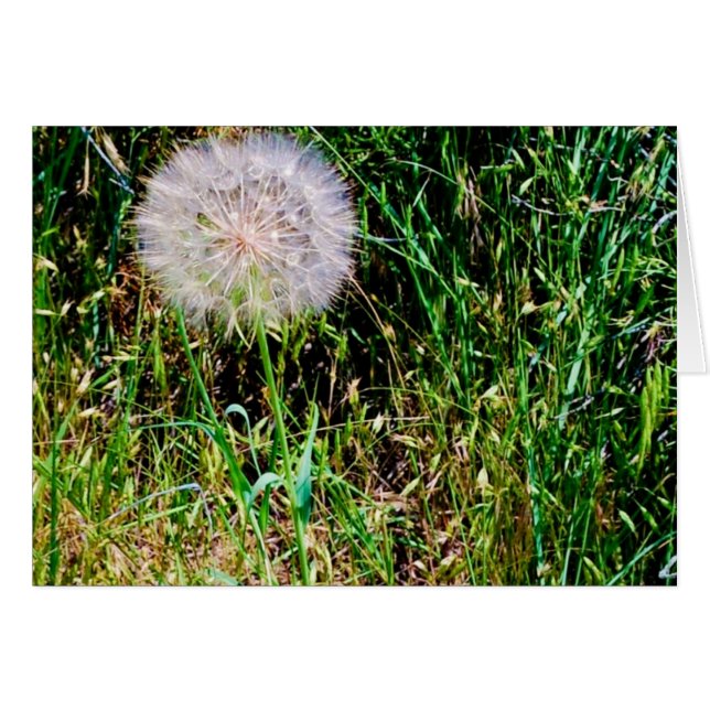 "願い"のコレクション作って下さい (正面横)