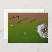 願い ポストカード (正面/裏面)