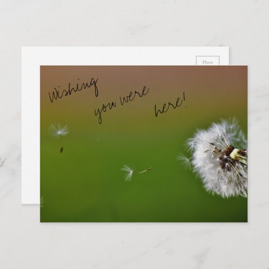 願い ポストカード (正面/裏面)