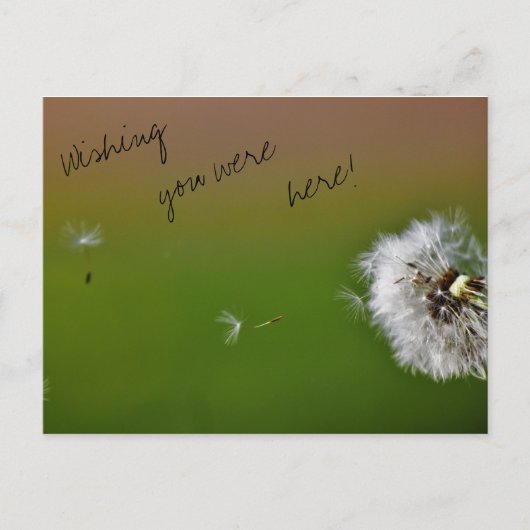 願い ポストカード (正面)