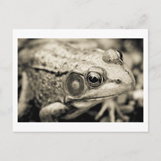 願シンプルい事 ポストカード (正面)