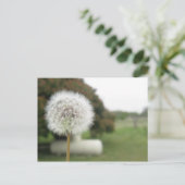 願書 ポストカード (スタンド正面)