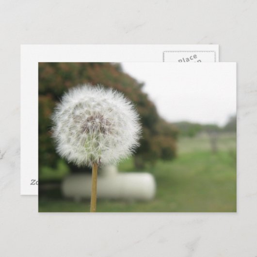 願書 ポストカード (正面/裏面)