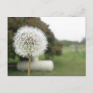 願書 ポストカード