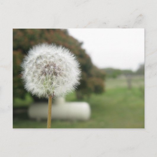 願書 ポストカード (正面)