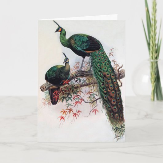 願最高のい，友人，家族，ピーコック カード (正面)