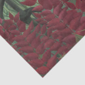 類人猿とヘビの熱帯林(ルソー) 薄葉紙 (詳細)