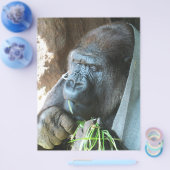 類人猿のいる風景 〜 日本のゴリラが食事中 チラシ (シングル)