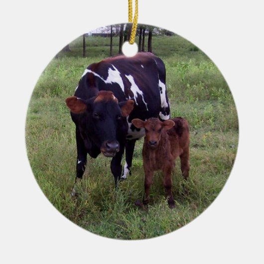 類似点が見える？オーナメント セラミックオーナメント (正面)