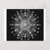 類原生動物 ポストカード (正面)