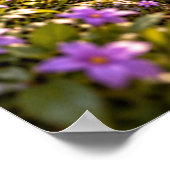 類縁の花 ポスター (角)